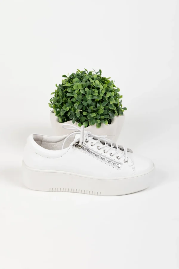 Footwear-DJANGO & JULIETTE WOLFIE SNEAKER WHITE LEATHER