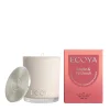 Candles & Room Fragrances-ECOYA MINI MADISON CANDLE MAPLE & PATCHOULI