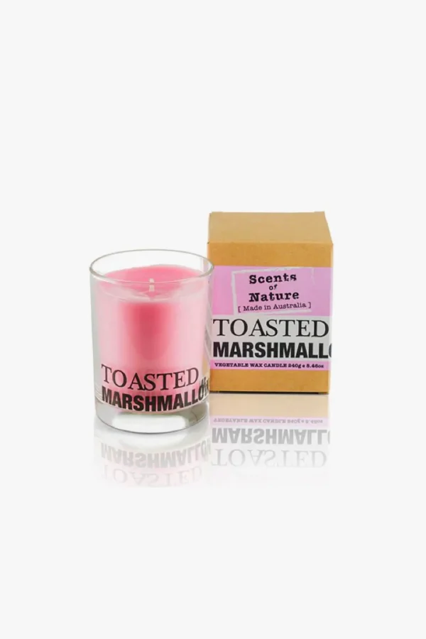 Candles & Room Fragrances-SCENTS OF NATURE SOY WAX CANDLE - TOASTED MARSHMALLOW